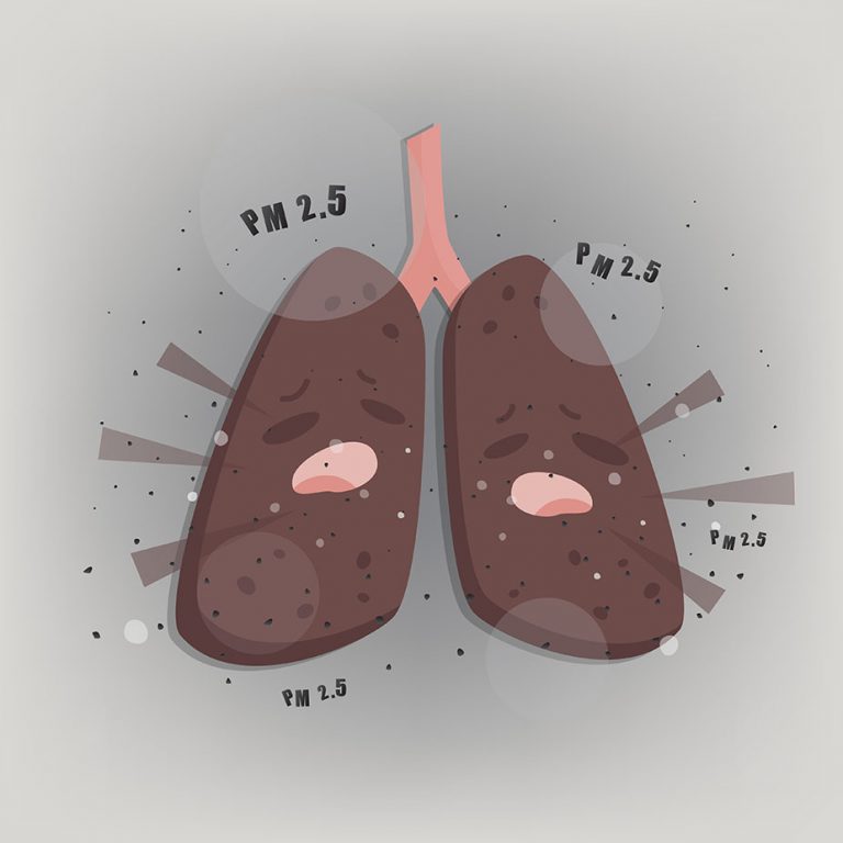 ฝุ่น-pm2-5-กับสุขภาพ